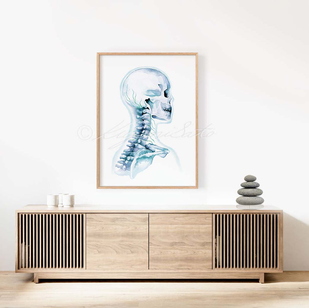 Cervical Nerve Art Poster