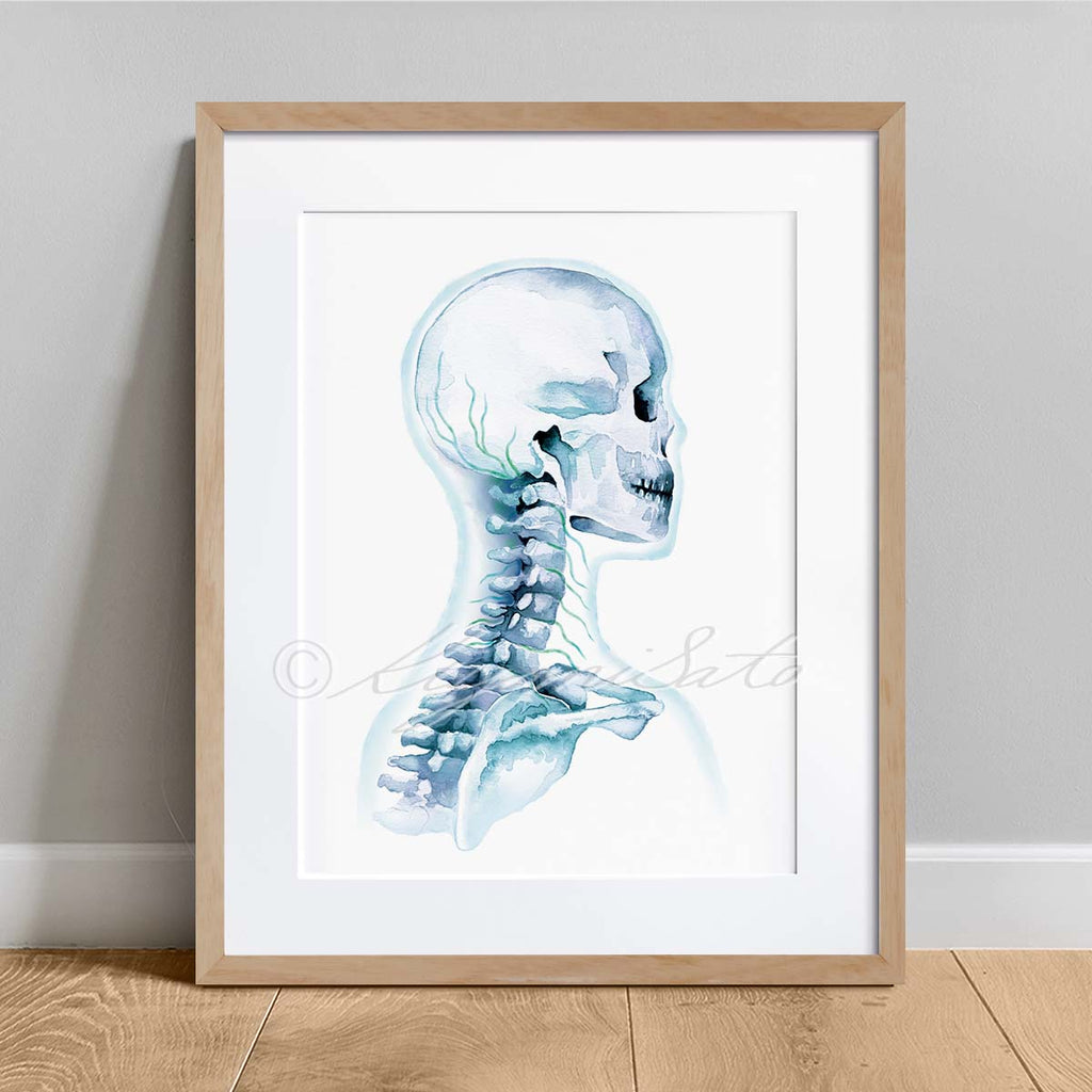 Cervical Nerves and Intercostal Nerves Art Set of 2 Prints
