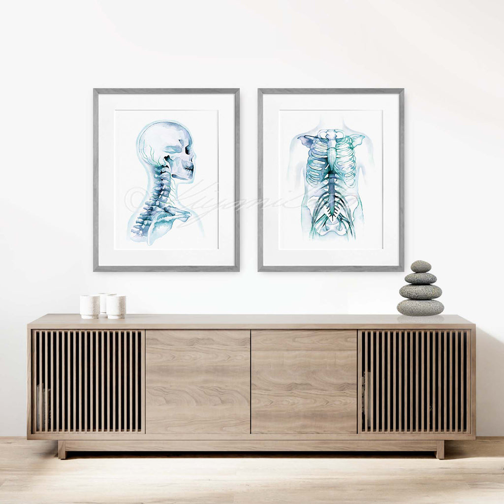 Cervical Nerves and Intercostal Nerves Art Set of 2 Prints