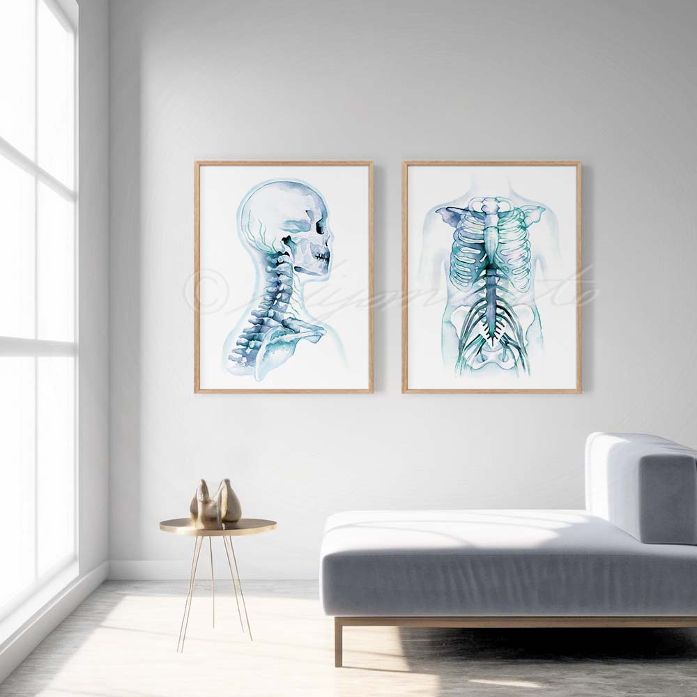 Cervical Nerves and Intercostal Nerves Art Set of 2 Prints