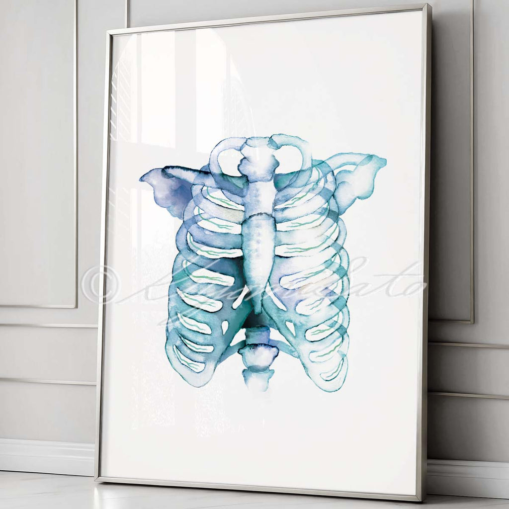 Intercostal Nerves Watercolor Abstract Art Poster