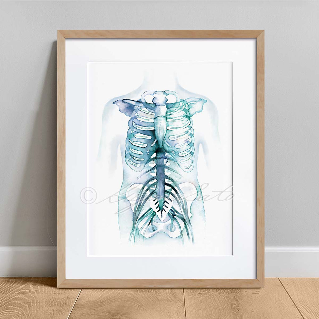 Cervical Nerves and Intercostal Nerves Art Set of 2 Prints