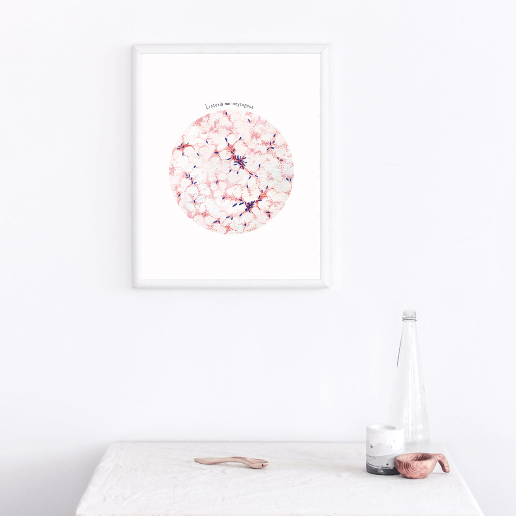 Listeria monocytogenes