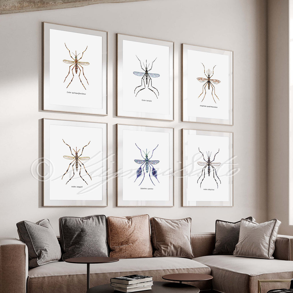 Mosquito Art poster set of 6