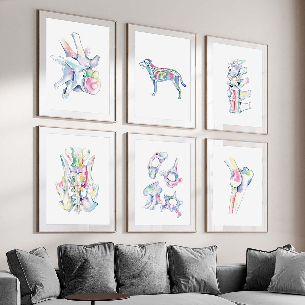 Dog Orthopedics Art poster set of 6