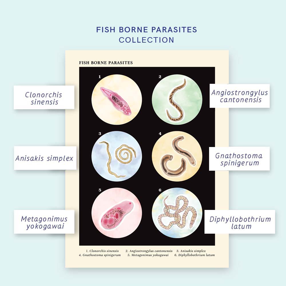 Fish borne Parasites Collection Vintage Style Poster