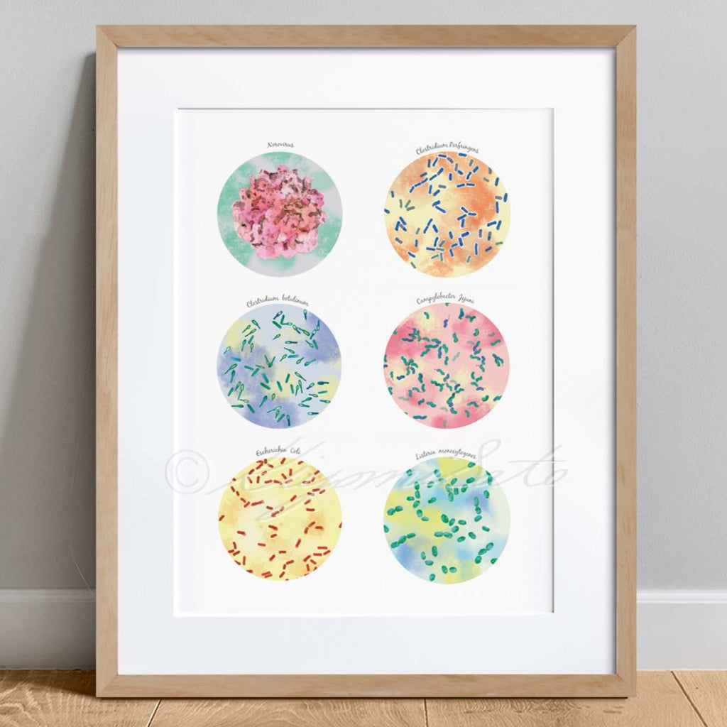 Foodborne Pathogens Collection – The Forest Cloak