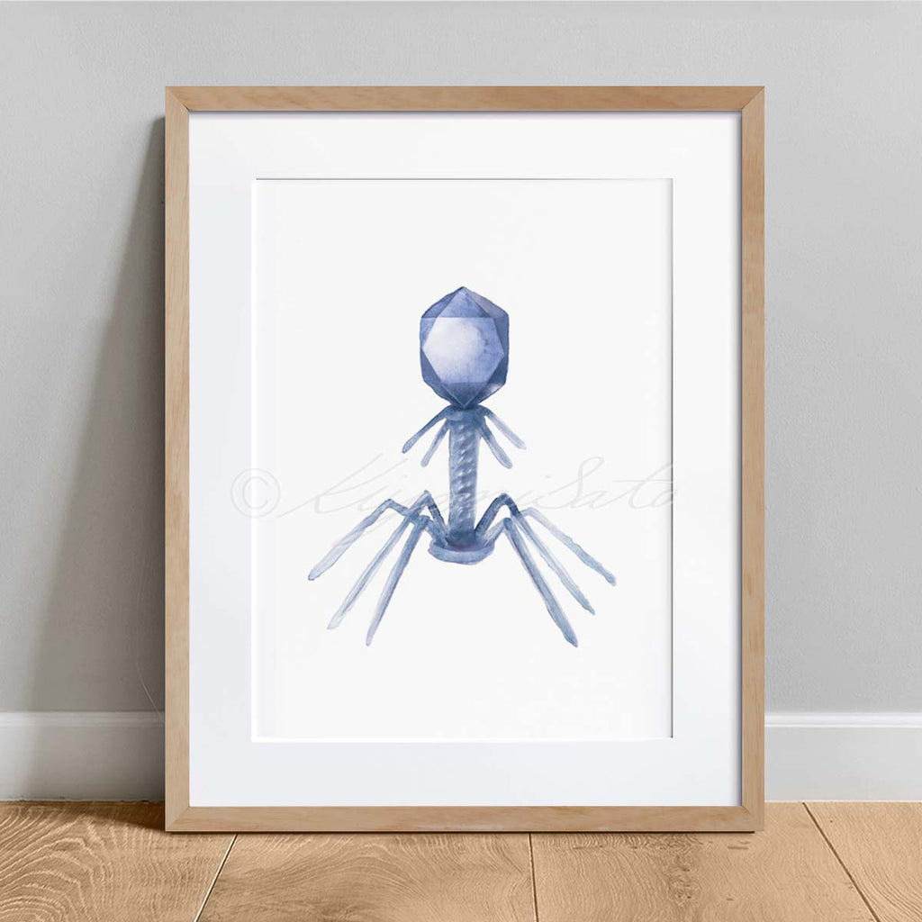 Bacteriophage virus art