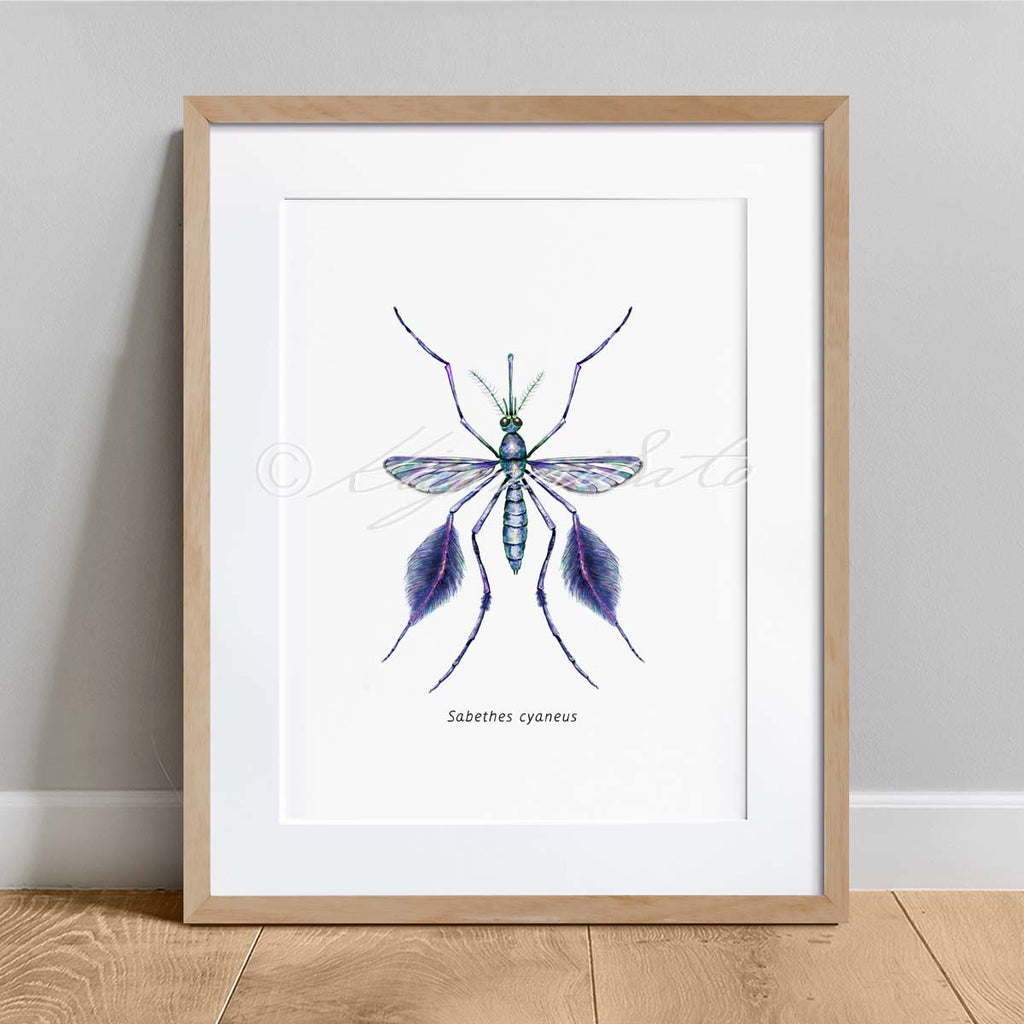Mosquito Art poster set of 6