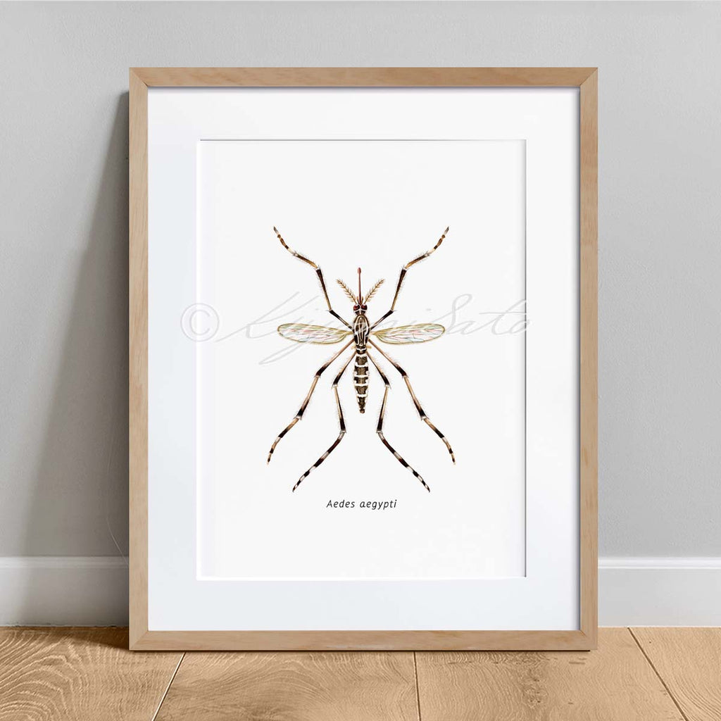 Mosquito Art poster set of 6