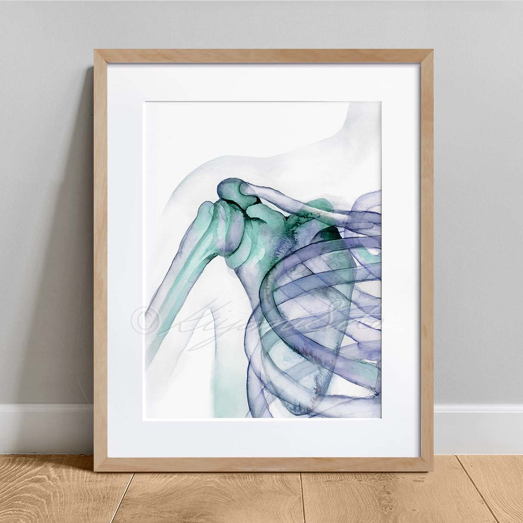 Shoulder Joint Watercolor Art