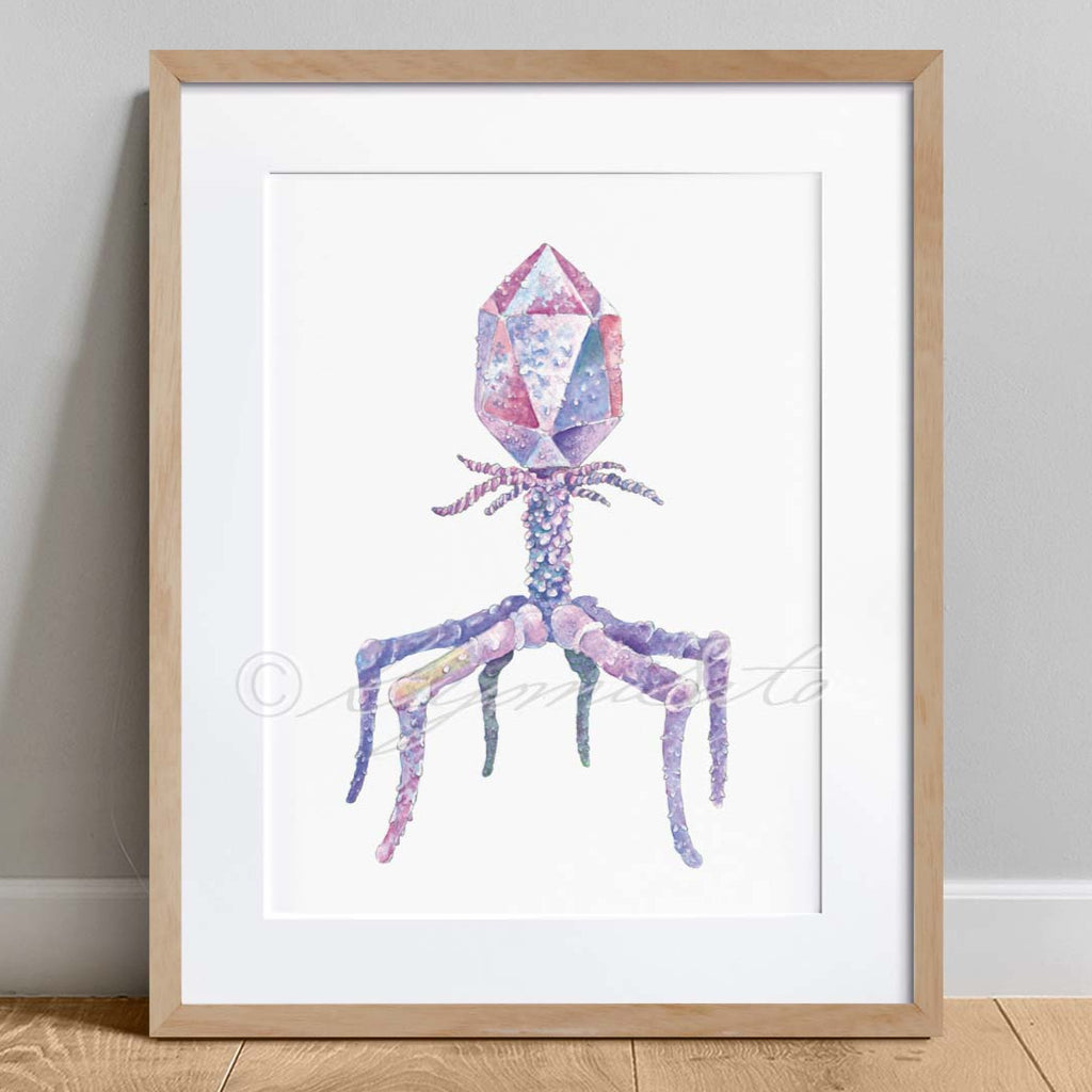 Bacteriophage, T4 Virus