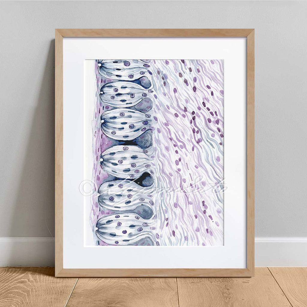 Taste Buds Histology Abstract Art