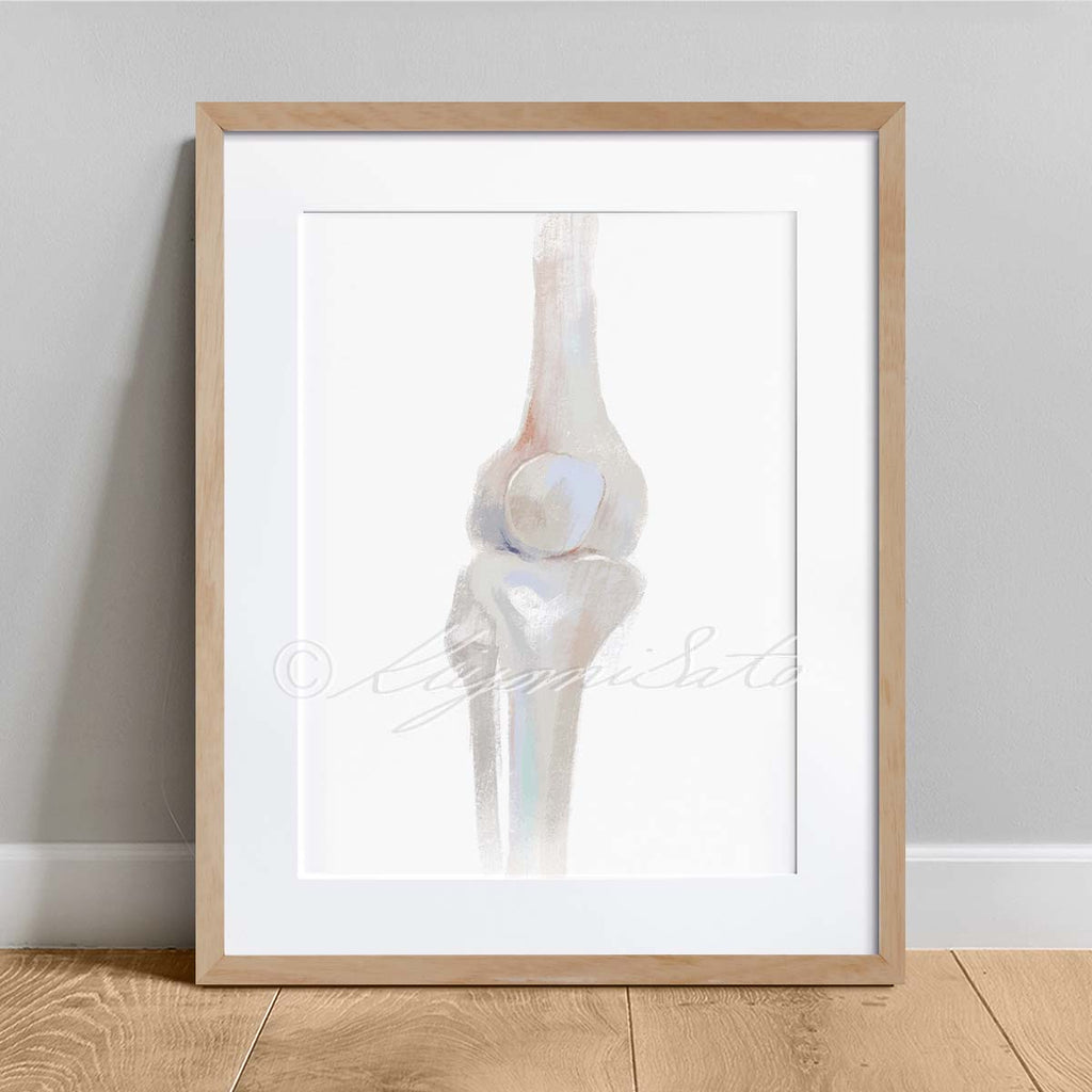 Physical Therapy Orthopedics Gallery Art poster set of 6