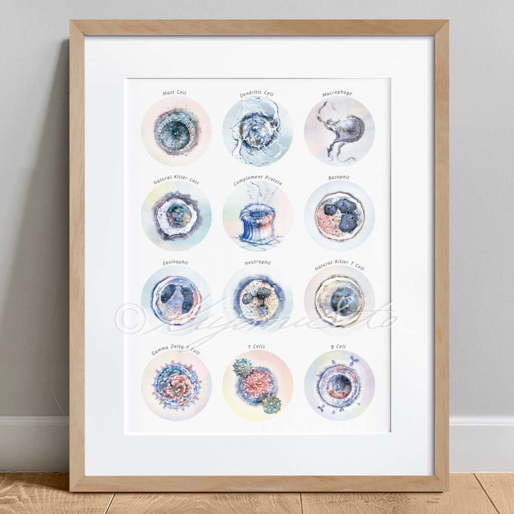 Immune System Collection Art