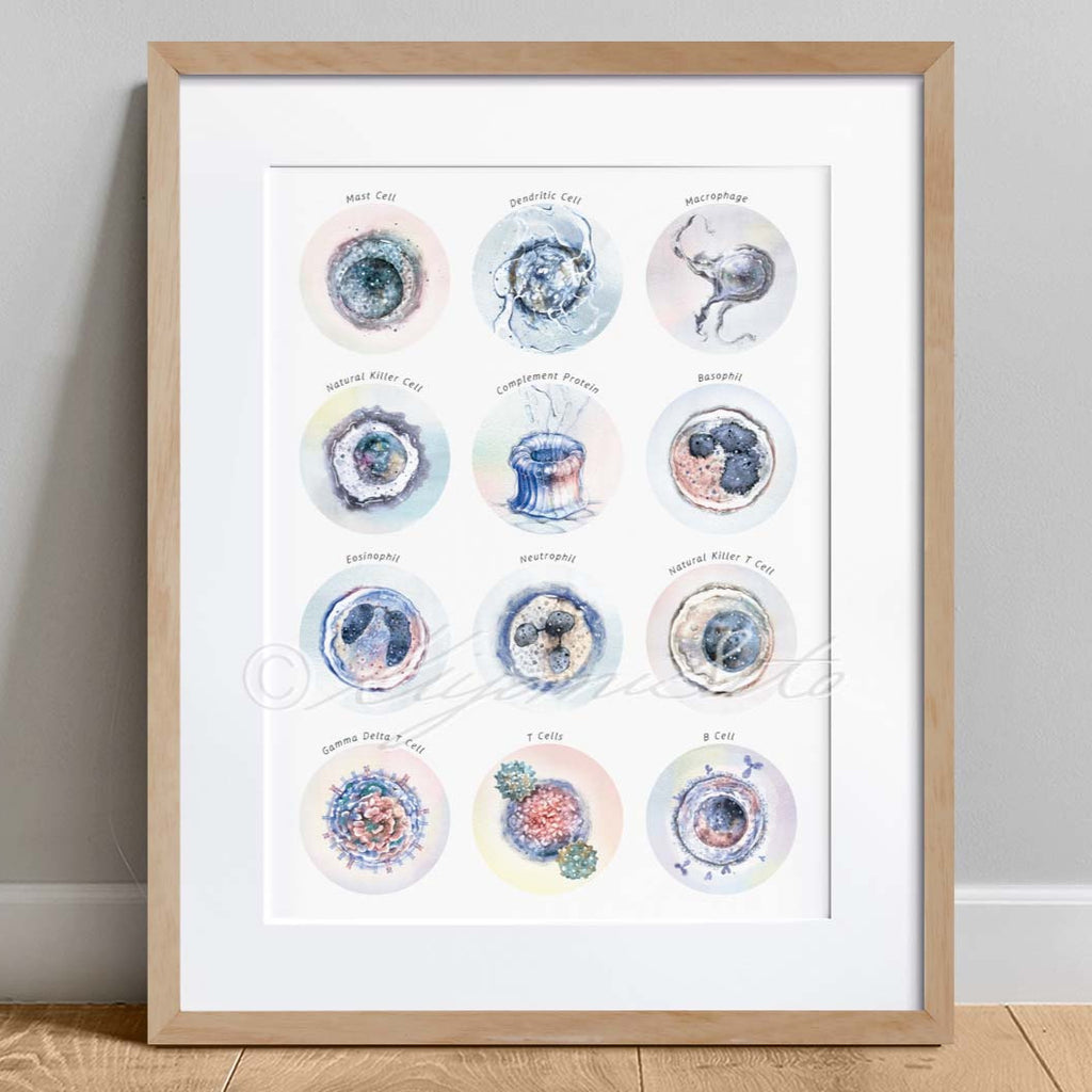 Immune System Collection Art – The Forest Cloak