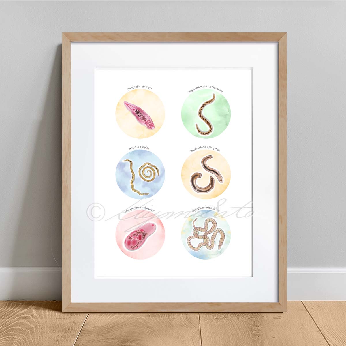 Fish borne Parasites Collection – The Forest Cloak