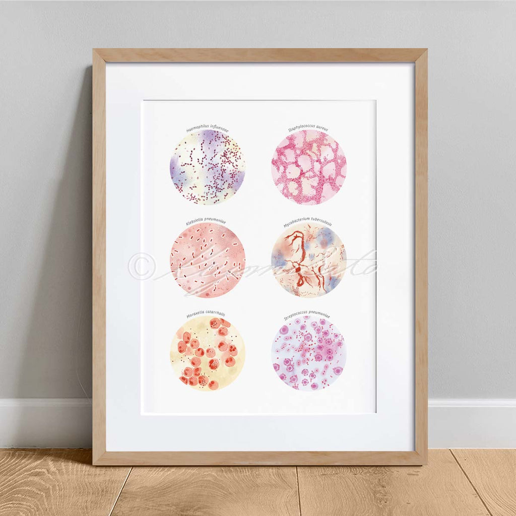 Respiratory Infection Causing Bacteria Collection Art Poster