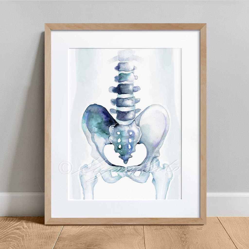 Pelvic Girdle Abstract Art