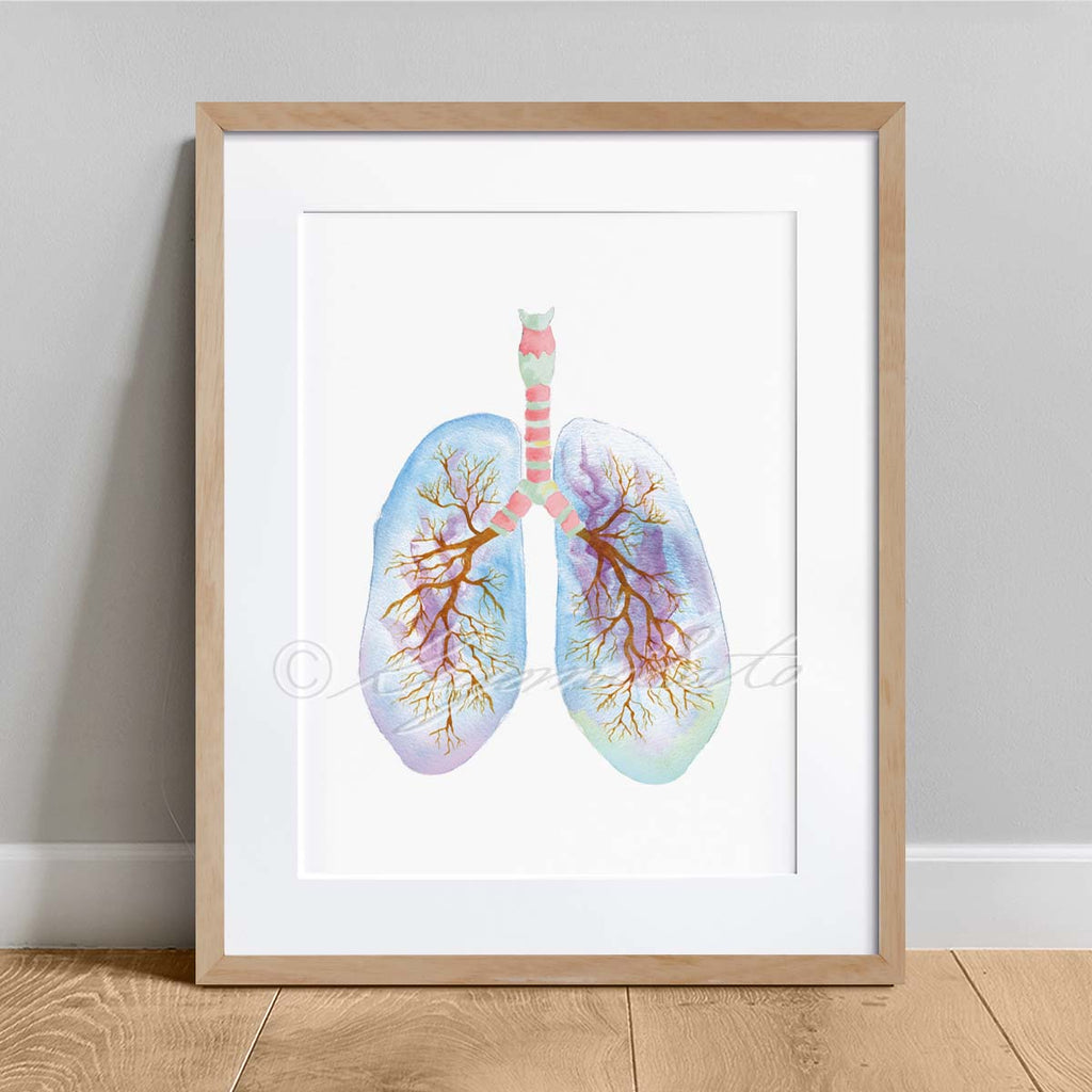 Human Lung