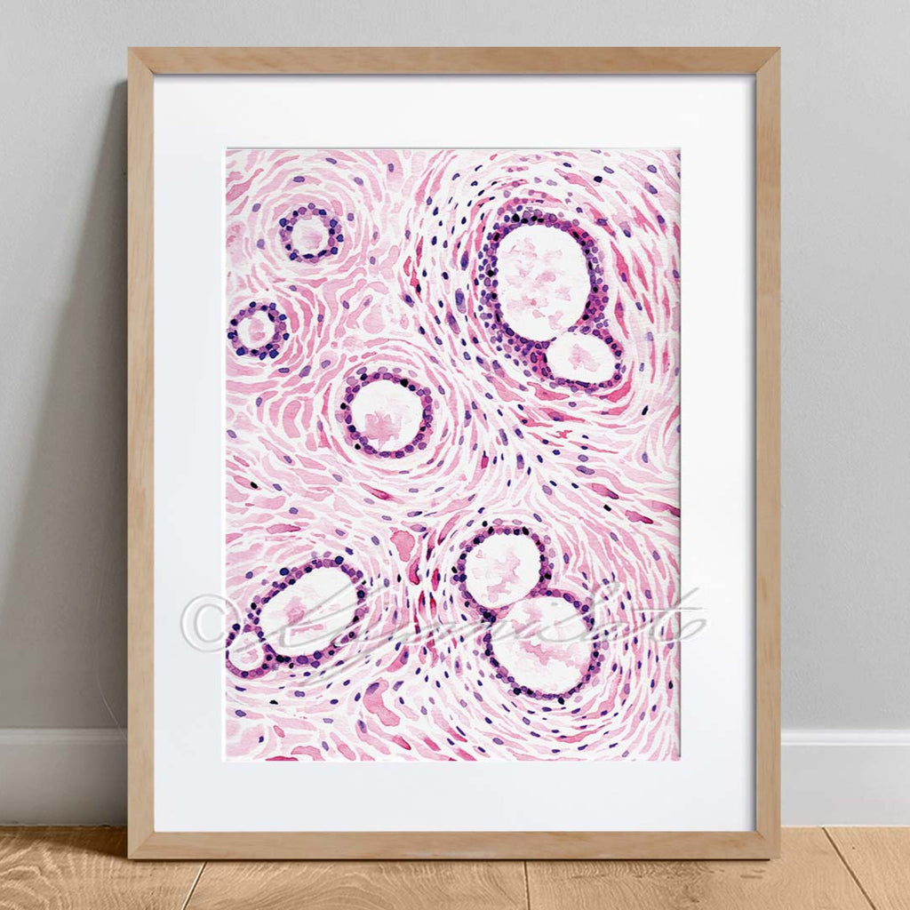 Mammary Gland Histology Abstract Art