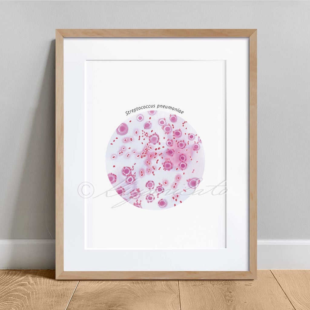 Bacteria Art Streptococcus pneumoniae poster