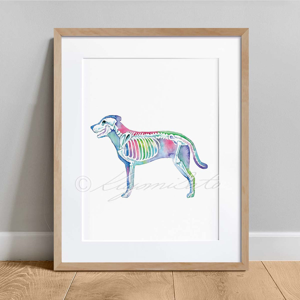 Dog Skeletal System Vertical Art