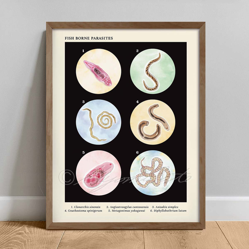 Fish borne Parasites Collection Vintage Style Poster