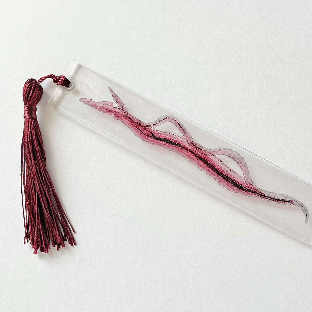 Schistosoma haematobium Parasite Clear Bookmark