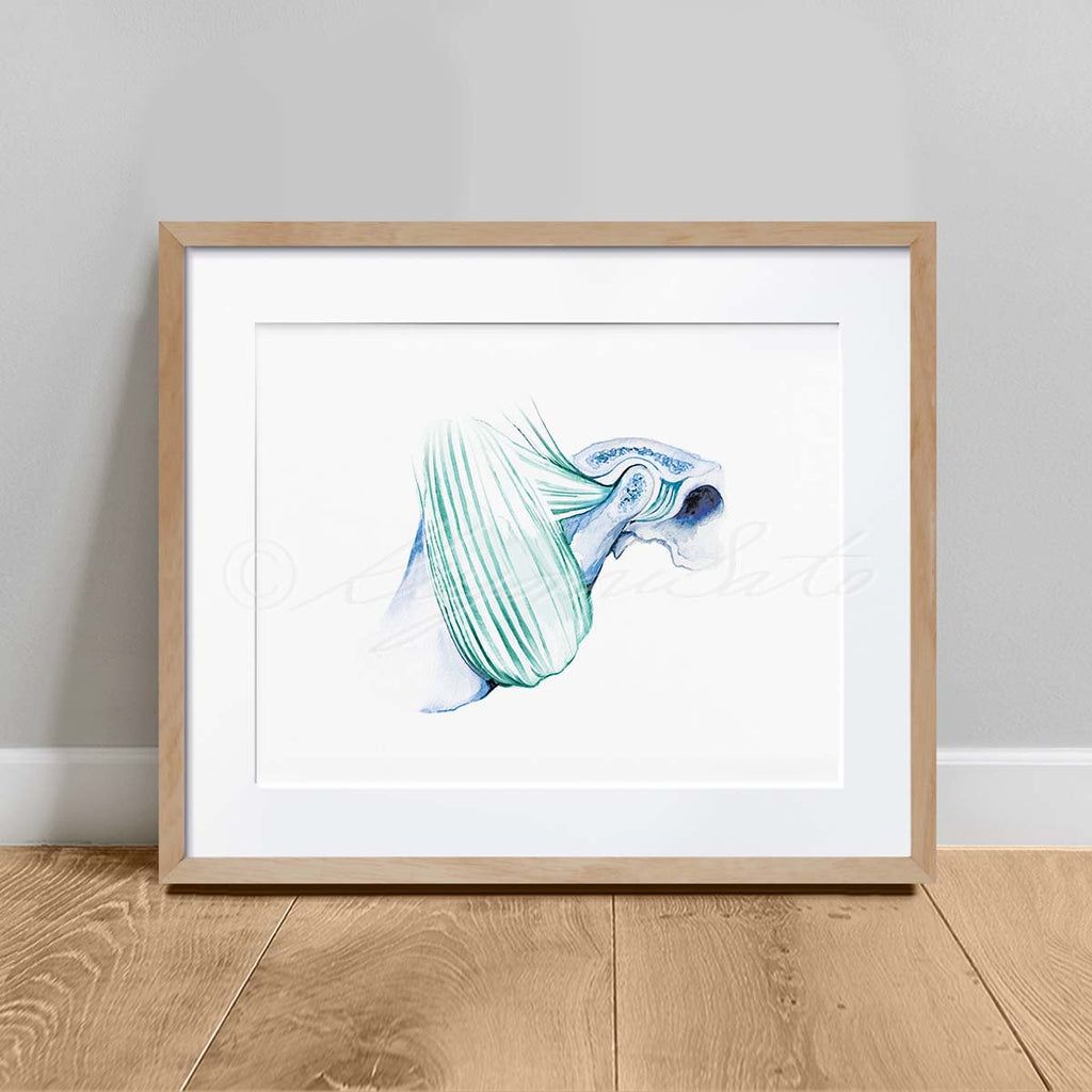 Temporal bone and Masseter muscle Art print