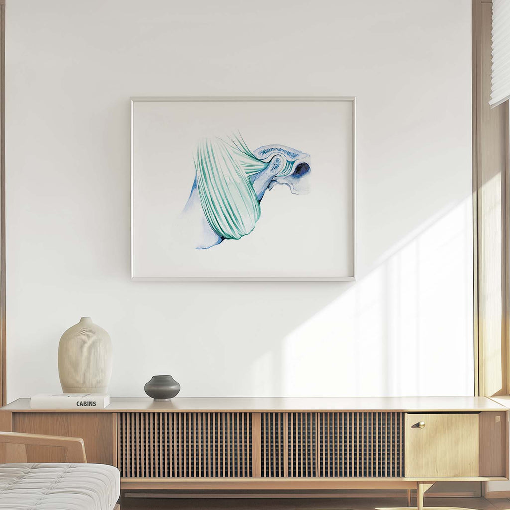 Temporal bone and Masseter muscle Art print