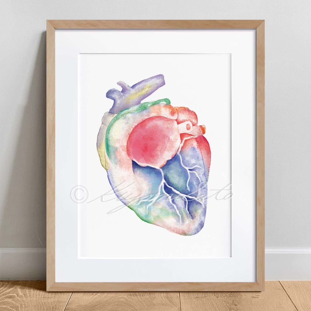 Feline Heart Anatomy Art