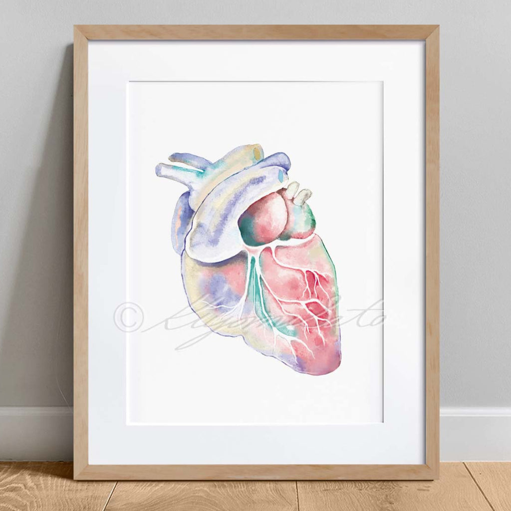 Canine Heart Anatomy Art