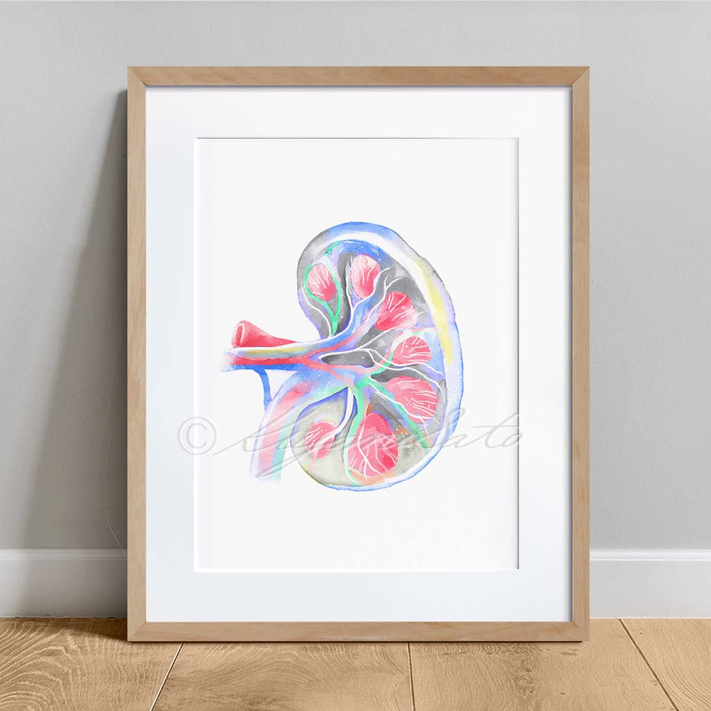 Canine Anatomy Art 4 print set