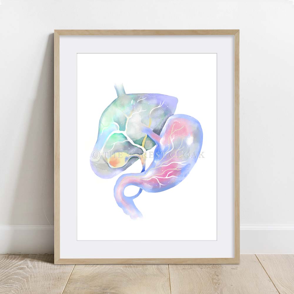 Cat Anatomy Art 4 print set