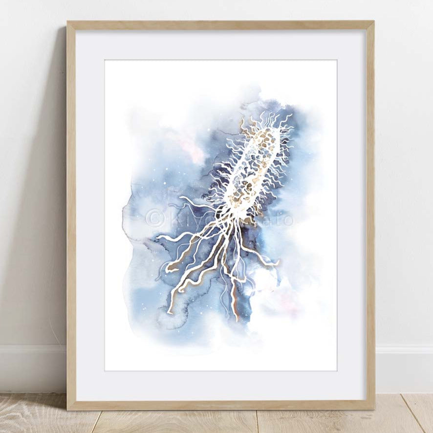 Flagellum Bacteria Watercolor