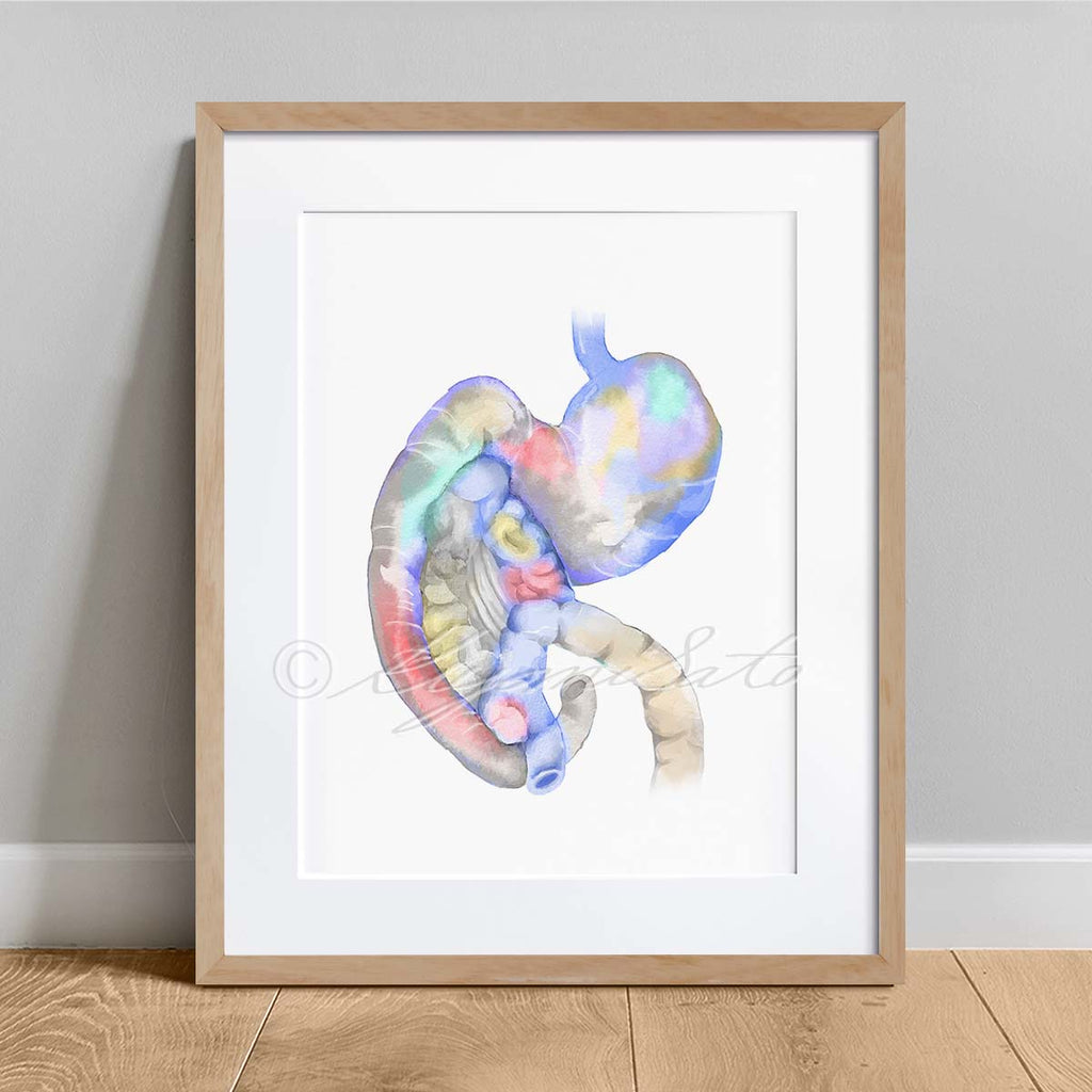 Canine Anatomy Art 4 print set