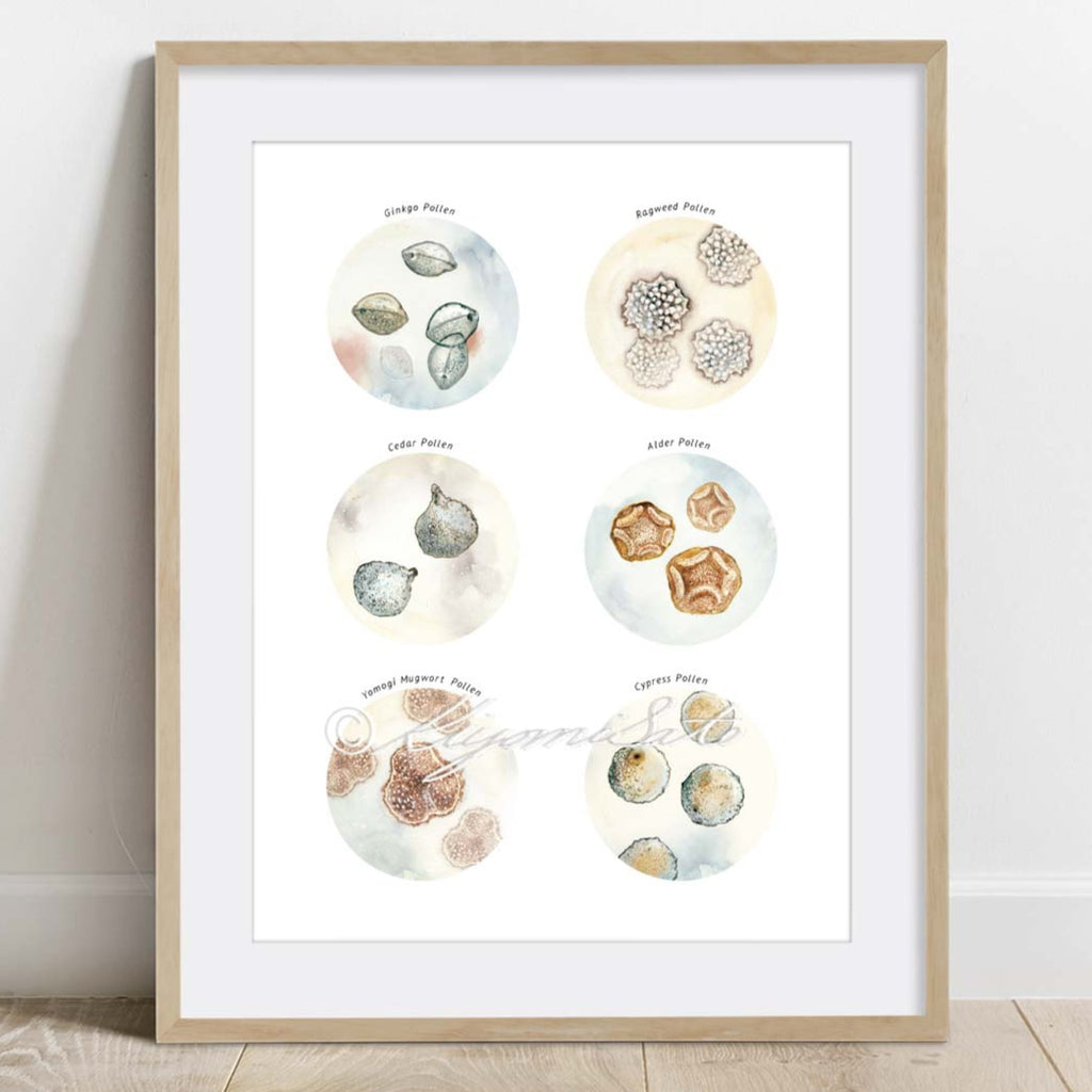 Pollen Collection