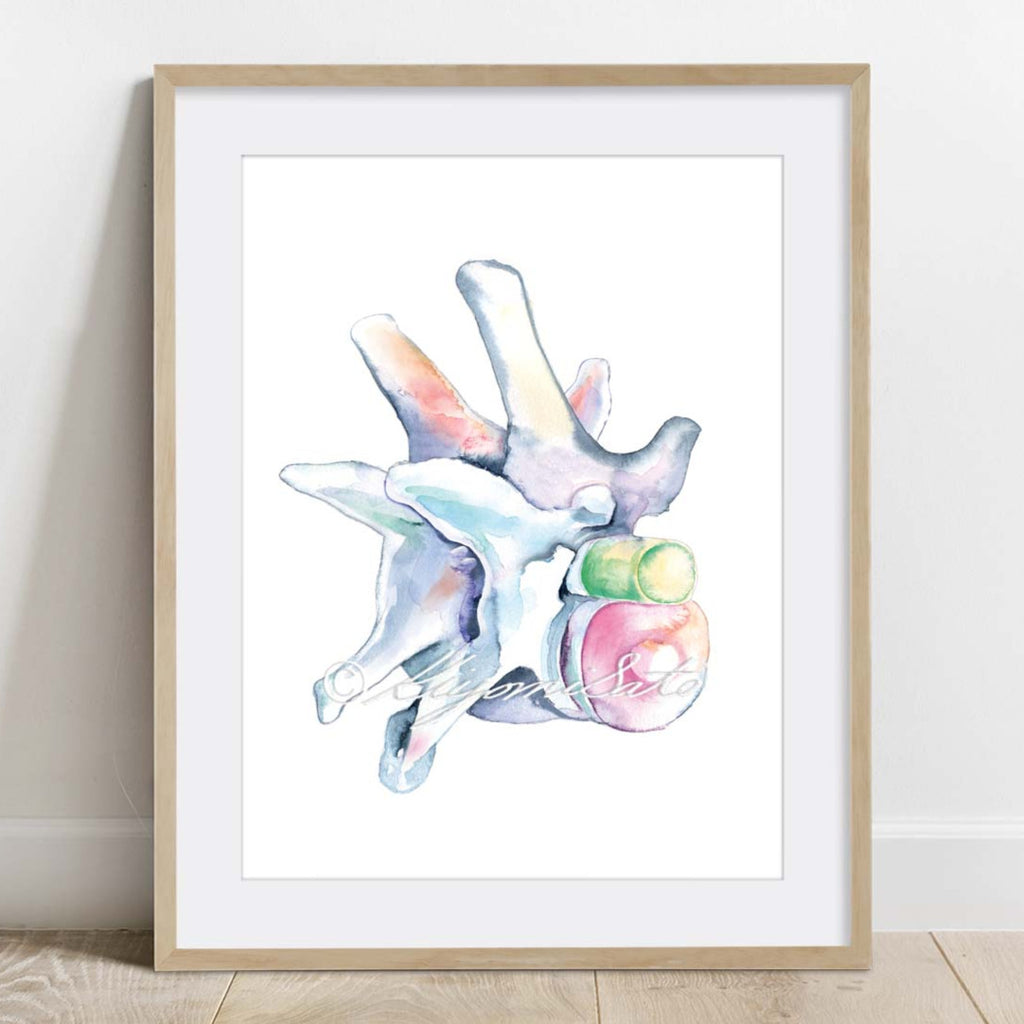 Dog Orthopedics Art poster set of 6