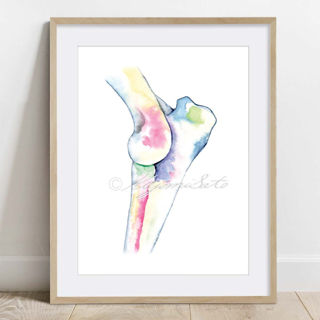 Dog Orthopedics Art poster set of 6