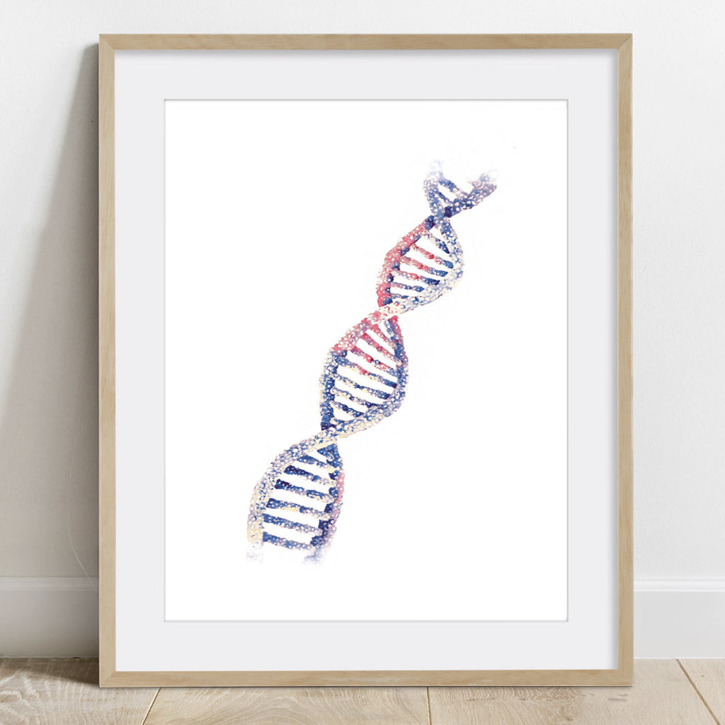 DNA Helix