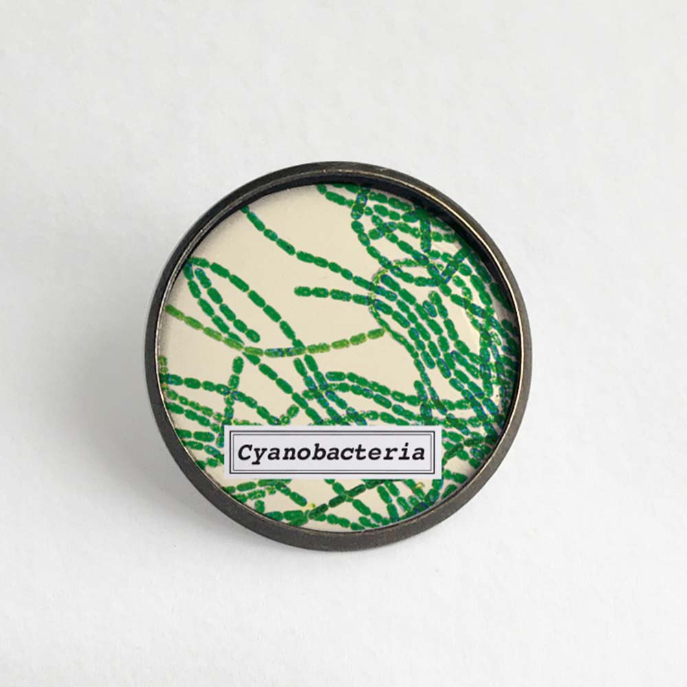 Cyanobacteria Lapel Pin