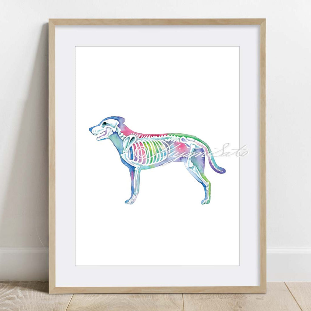 Dog Orthopedics Art poster set of 6