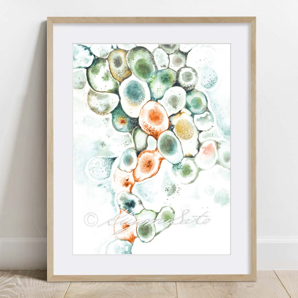 Veterinary Mast Cell Art