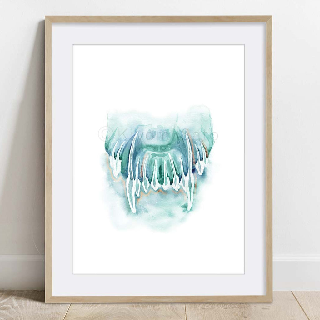 Canine Maxillary Incisors Tooth Art