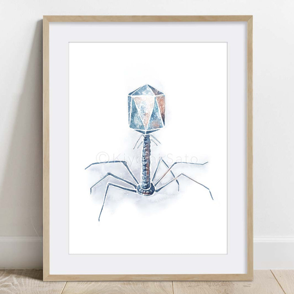 Abstract Bacteriophage