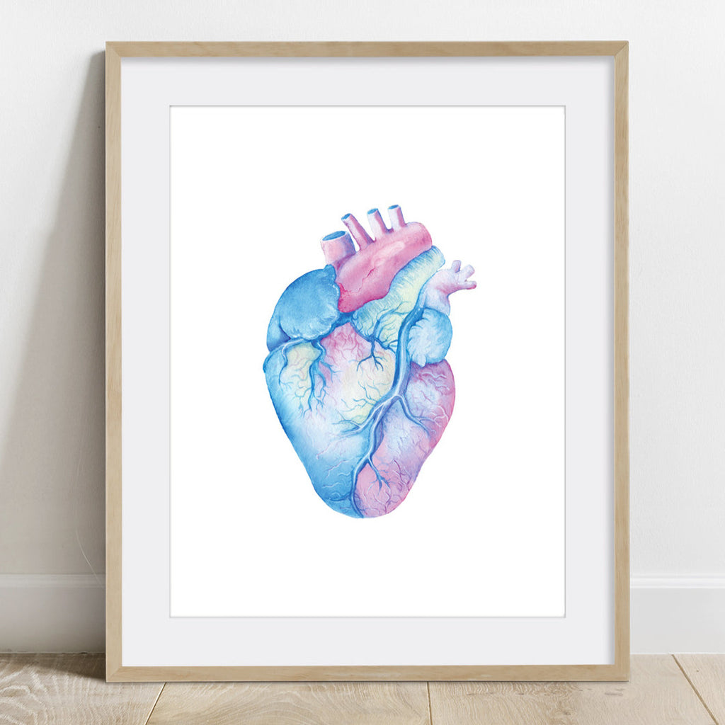 Anatomical Heart Poster in Blue