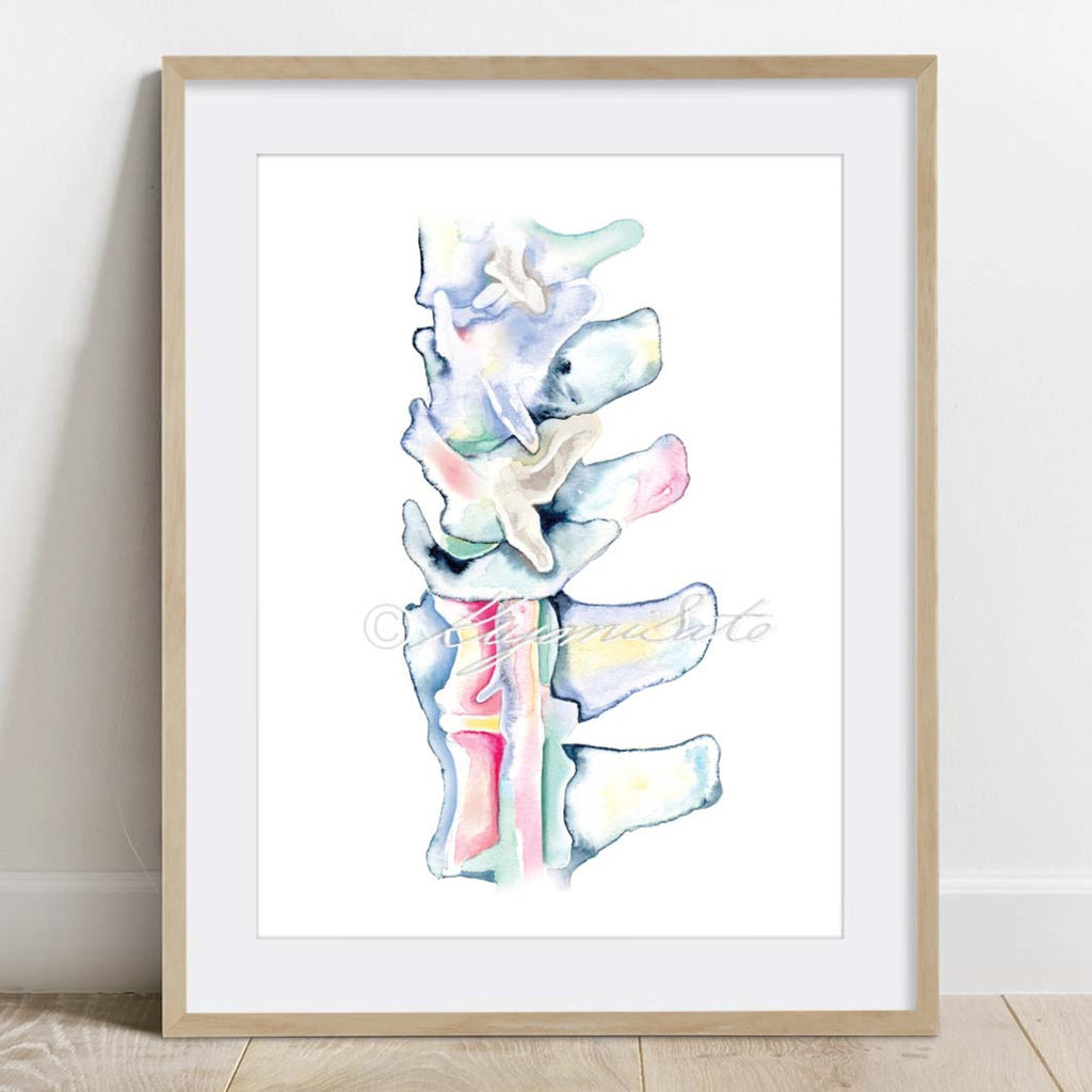 Dog Orthopedics Art poster set of 6