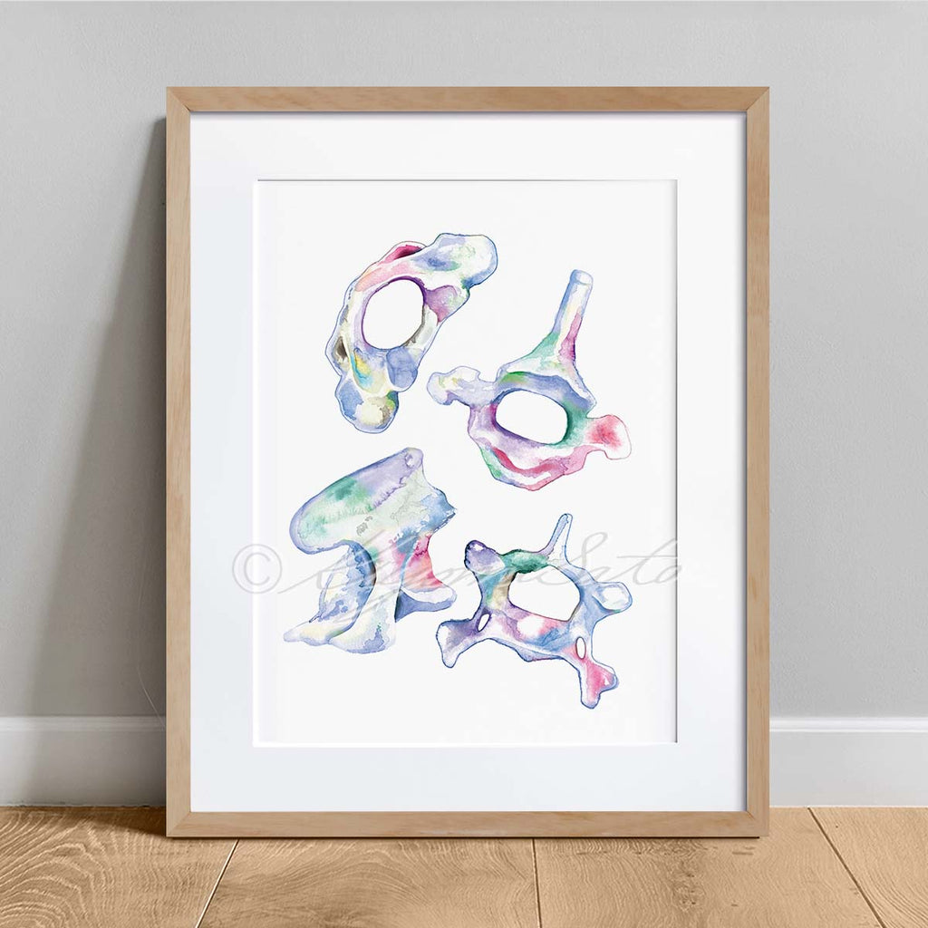 Dog Orthopedics Art poster set of 6