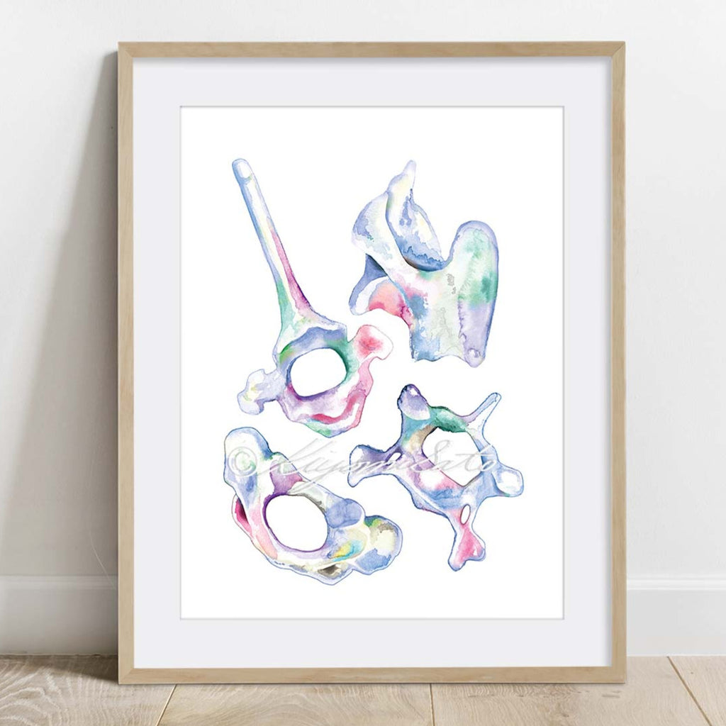 Dog Orthopedics Art poster set of 6